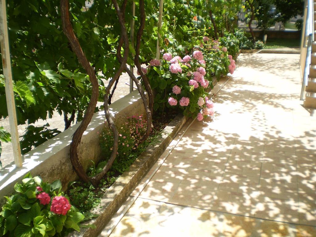Apartments Tare, Free Parking โวดีเซ ห้อง รูปภาพ